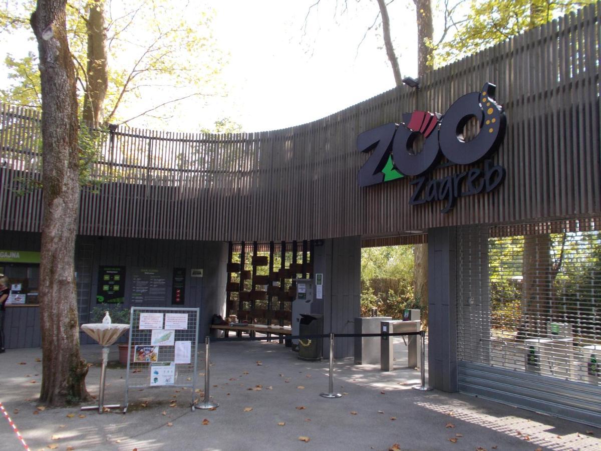 Apartment Sweet Dreams-Close To Zoo,Dinamo Stadium And The City Center 萨格勒布 外观 照片