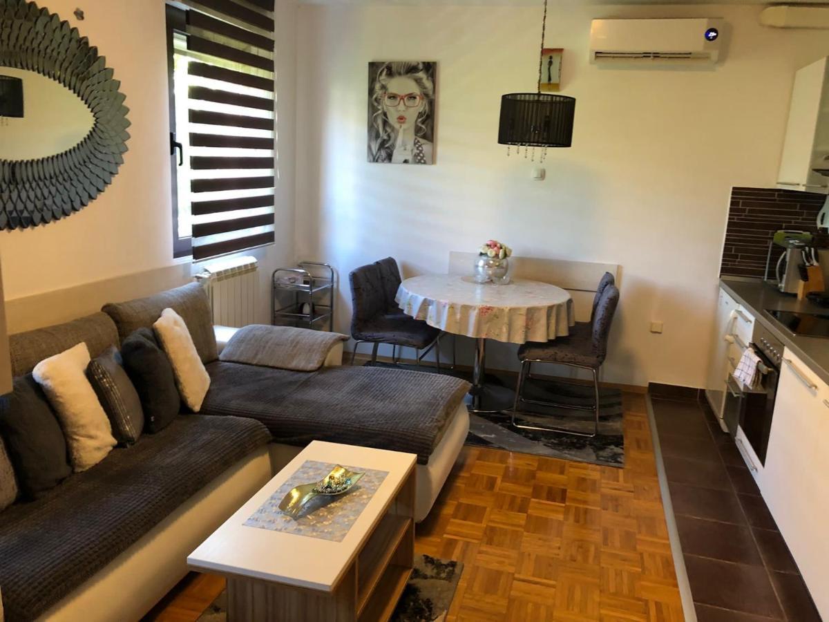 Apartment Sweet Dreams-Close To Zoo,Dinamo Stadium And The City Center 萨格勒布 外观 照片
